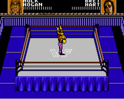 WWF Wrestlemania Steel Cage Challenge (Europe)