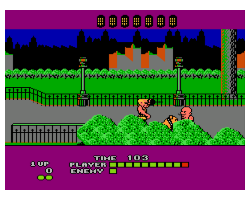 Bad Street Brawler (USA)