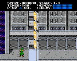 Ninja Gaiden in Hell