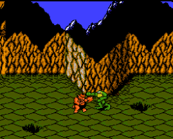 Battletoads (Europe)