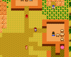 Startropics (Europe)