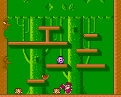 Don Doko Don (Japan)