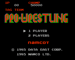 Special Tag Team Pro Wrestling (Japan)