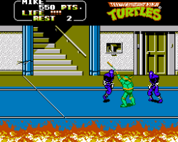 Teenage Mutant Ninja Turtles (Japan)