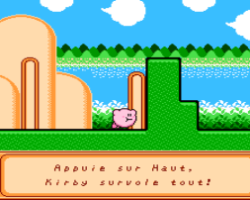 Kirby's Adventure (France)