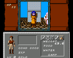 Dungeon & Magic - Swords of Element (Japan)