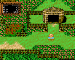 Willow (Europe)