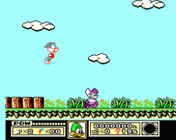 Tiny Toon Adventures (USA)