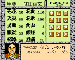 Takeda Shingen 2 (Japan)