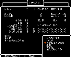 Wizardry - Proving Grounds of the Mad Overlord (Japan)