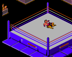 WWF Wrestlemania Challenge (Japan)