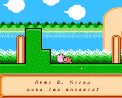 Kirby's Adventure (Canada)