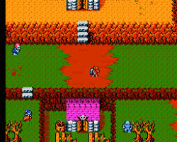 Gargoyle's Quest II - The Demon Darkness (USA)