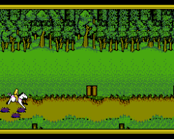 Advanced Dungeons & Dragons - Hillsfar (USA)