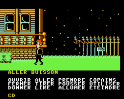 Maniac Mansion (France)