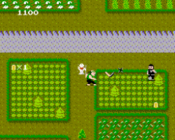 Ikki (Japan)