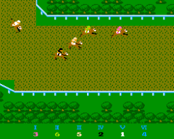 Casino Derby (Japan)