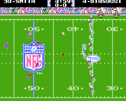 Tecmo Super Bowl (USA)