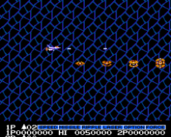 Salamander (Japan)