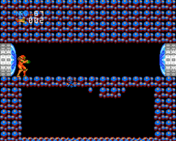 Metroid mOTHER