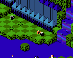 Snake Rattle n Roll (Europe)