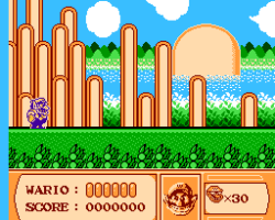 Wario Land II