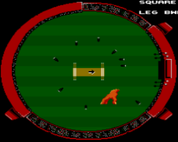 International Cricket (Australia) (Beta)