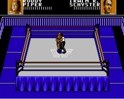 WWF Wrestlemania Steel Cage Challenge (USA)