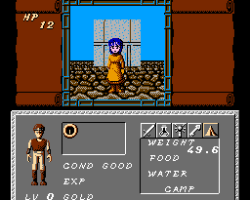 Dungeon Magic - Sword of the Elements (USA)