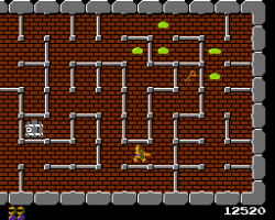 Tower of Druaga, The (Japan)