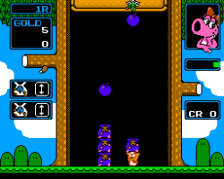 Wario no Mori (Japan)