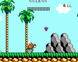 Hudson's Adventure Island III (USA)