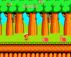Hudson's Adventure Island (USA)