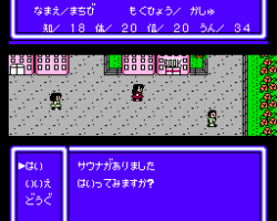 RPG Jinsei Game (Japan)