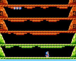 Ice Climber (Japan)