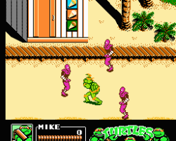 Teenage Mutant Ninja Turtles III - The Manhattan Project (USA)