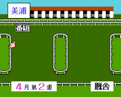 Derby Stallion - Zenkoku Ban (Japan)