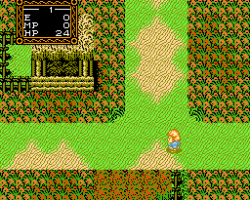 Willow (USA)
