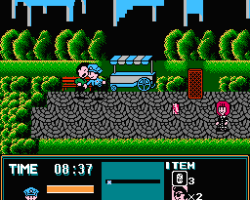 Family Trainer - Manhattan Police (Japan)