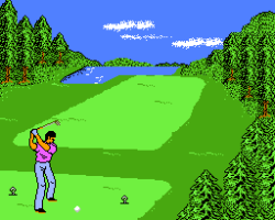Golf '92, The (Japan)