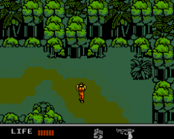 Snake's Revenge (Europe)