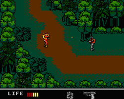 Snake's Revenge (USA)