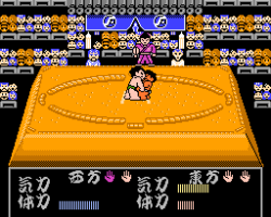 Chiyonofuji no Ooichou (Japan)