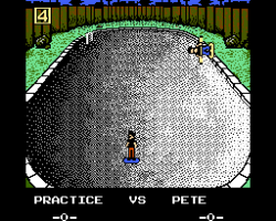 Skate or Die! (USA)