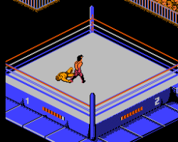 WWF Wrestlemania Challenge (Europe)