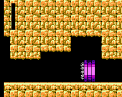 Mega Man 5: Protoman Edition