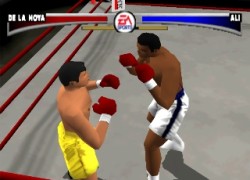 Knockout Kings
