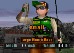 Bass Rise