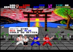 International Karate Plus