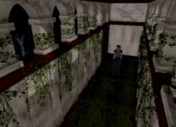 Resident Evil - Director's Cut - Dual Shock Ver.